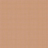 81280-13 Gingham Shrimp
